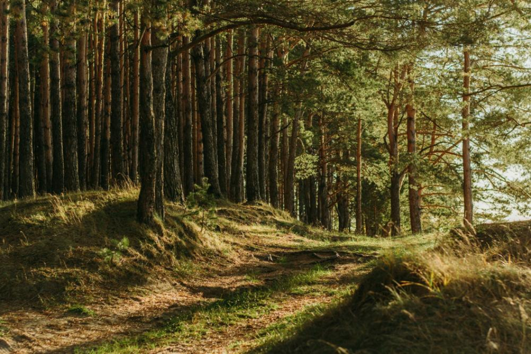 Computer Entsorgung Witten